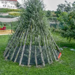 There is a play tipi made from willow trunks in a meadow. The willow trunks that form the walls of the play tipi have recently been knocked out and are starting to grow. The floor of the play tipi is covered with green fall protection boards.